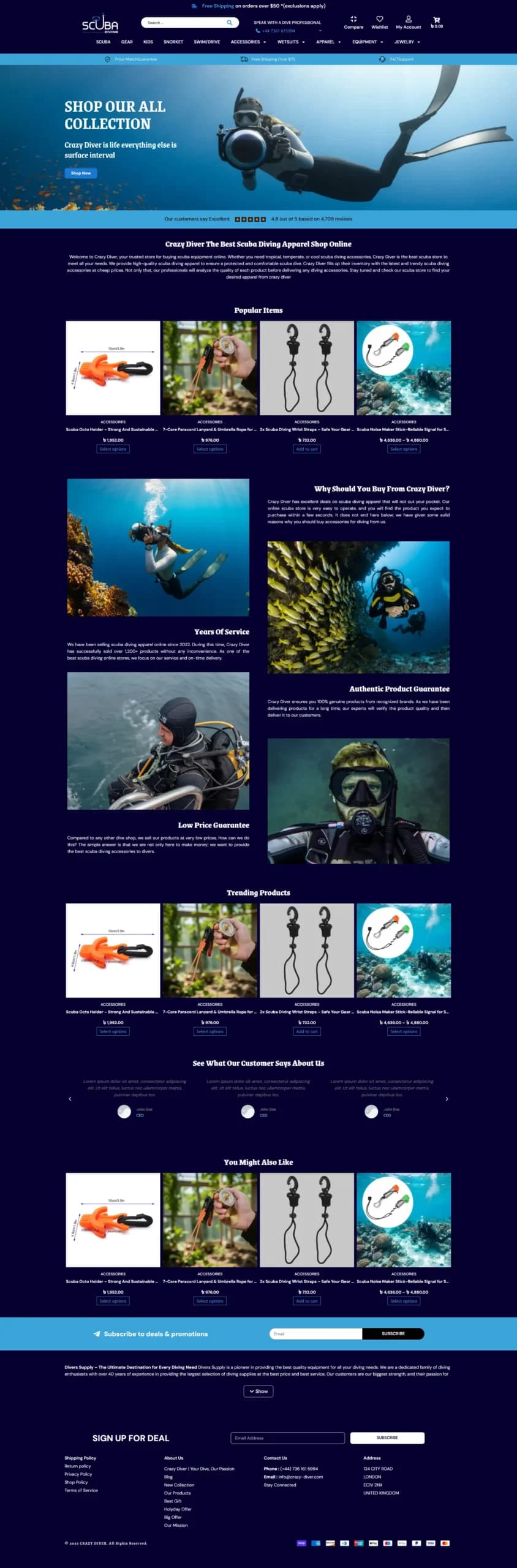 Modern Online Store website preview